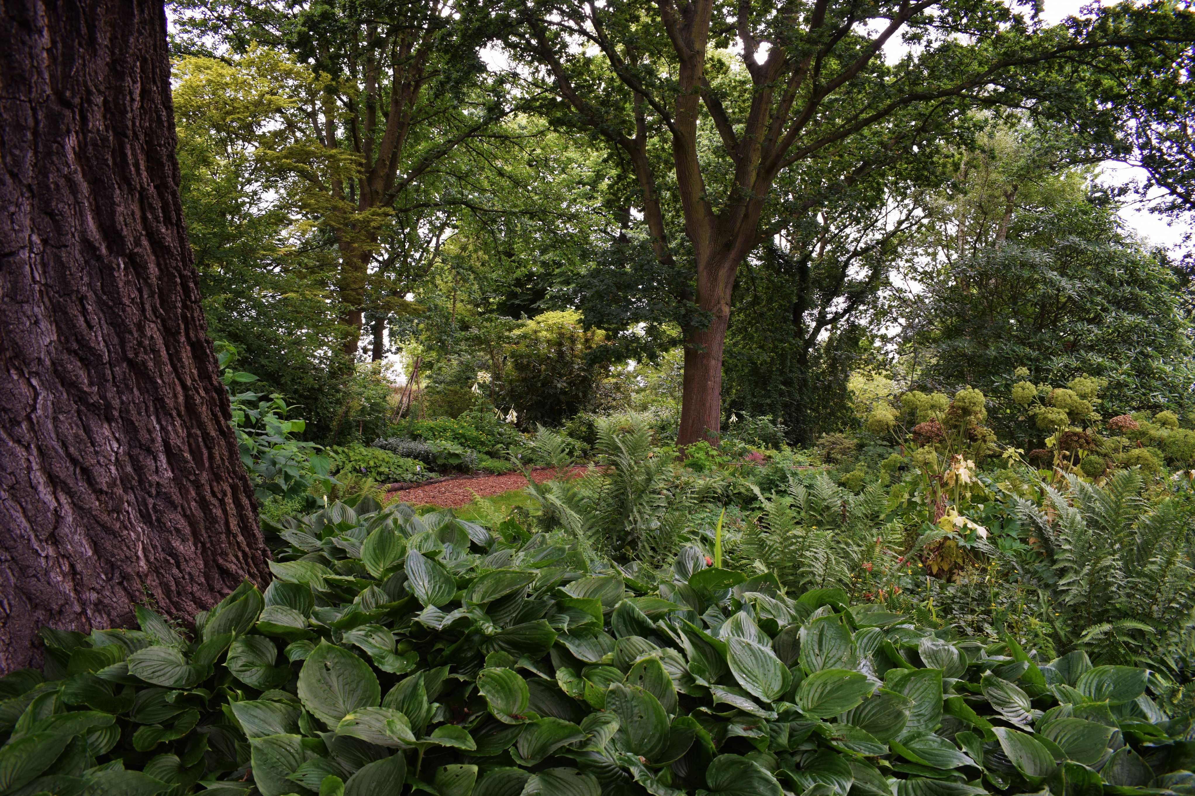 Kew's secret gardens Kew